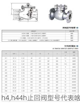 h4,h44h止回阀型号代表啥