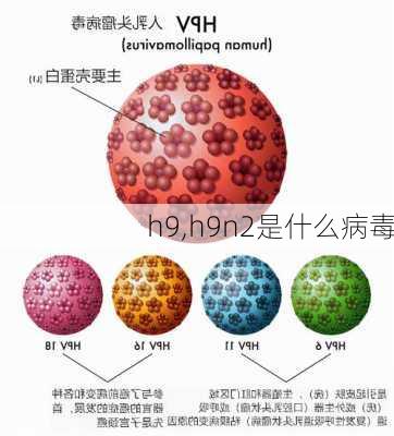 h9,h9n2是什么病毒