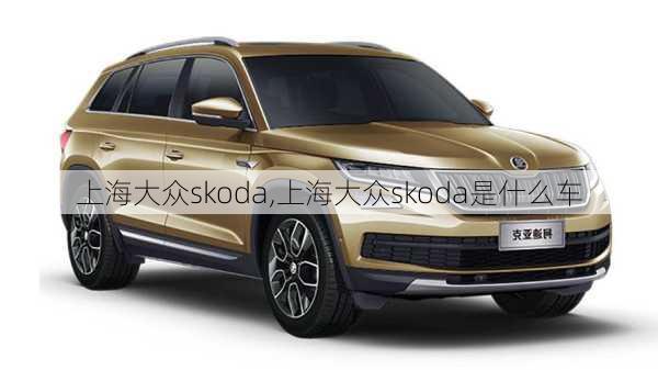 上海大众skoda,上海大众skoda是什么车