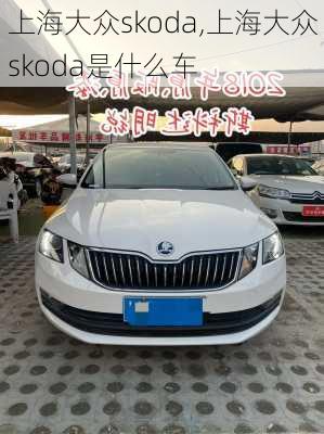 上海大众skoda,上海大众skoda是什么车