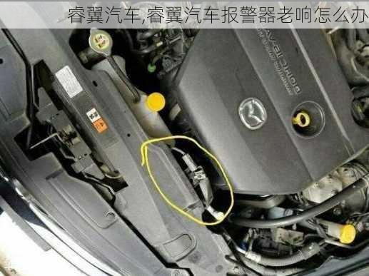 睿翼汽车,睿翼汽车报警器老响怎么办