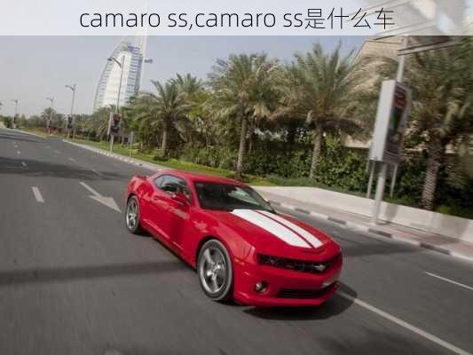 camaro ss,camaro ss是什么车