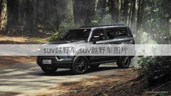 suv越野车,suv越野车图片