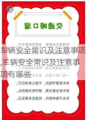 车辆安全常识及注意事项,车辆安全常识及注意事项有哪些