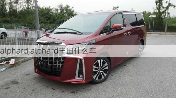 alphard,alphard丰田什么车