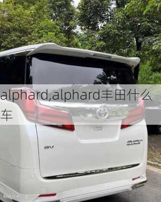 alphard,alphard丰田什么车