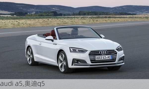 audi a5,奥迪q5