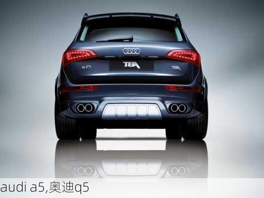 audi a5,奥迪q5