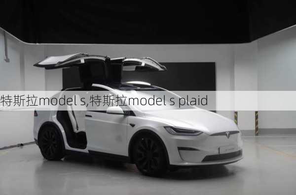 特斯拉model s,特斯拉model s plaid