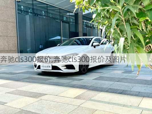 奔驰cls300报价,奔驰cls300报价及图片