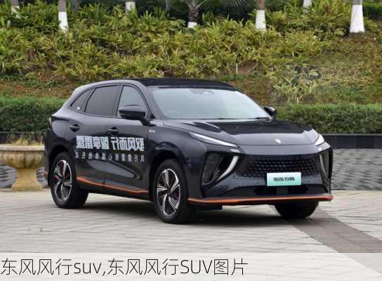 东风风行suv,东风风行SUV图片