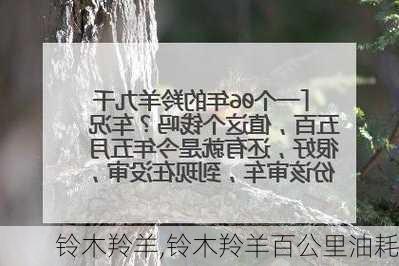 铃木羚羊,铃木羚羊百公里油耗