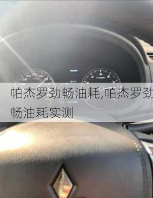 帕杰罗劲畅油耗,帕杰罗劲畅油耗实测