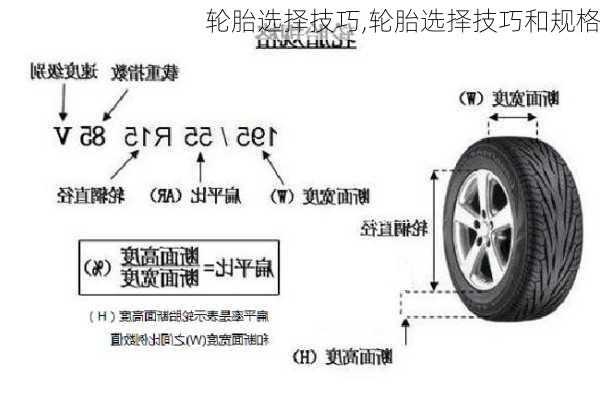 轮胎选择技巧,轮胎选择技巧和规格