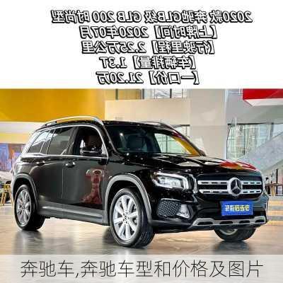 奔驰车,奔驰车型和价格及图片