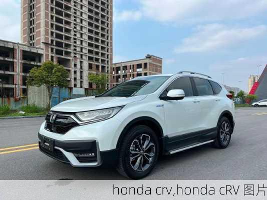 honda crv,honda cRV 图片