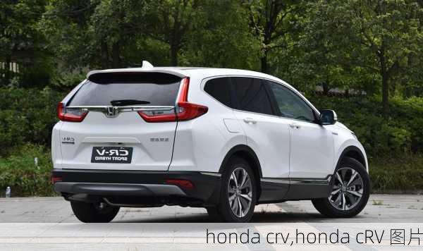 honda crv,honda cRV 图片