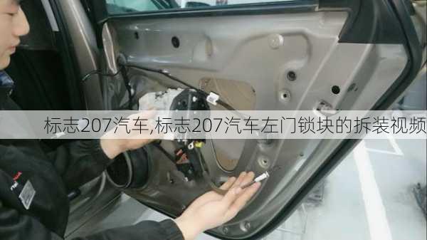 标志207汽车,标志207汽车左门锁块的拆装视频