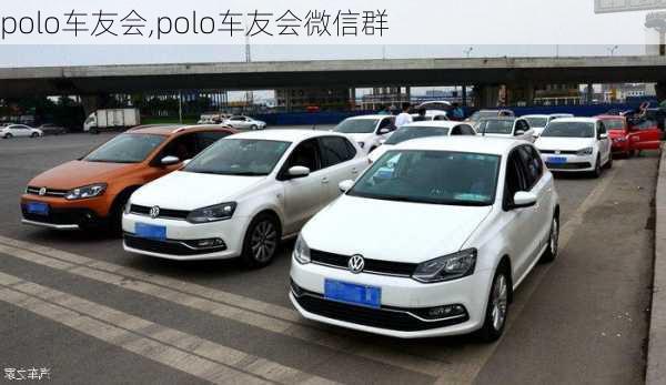 polo车友会,polo车友会微信群