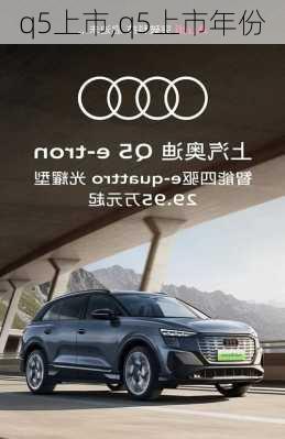 q5上市,q5上市年份