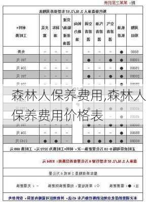 森林人保养费用,森林人保养费用价格表