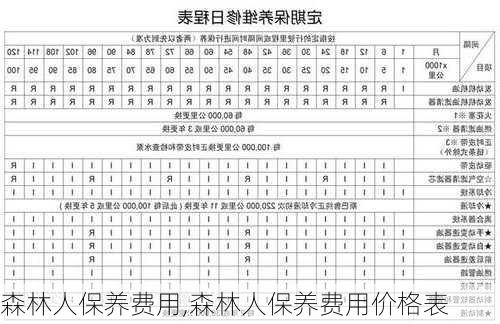 森林人保养费用,森林人保养费用价格表