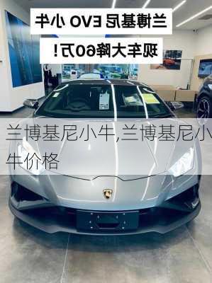 兰博基尼小牛,兰博基尼小牛价格