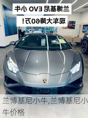 兰博基尼小牛,兰博基尼小牛价格