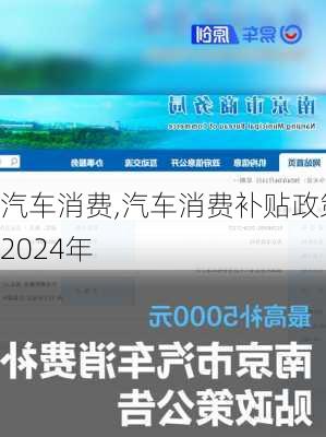 汽车消费,汽车消费补贴政策2024年