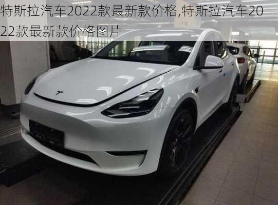 特斯拉汽车2022款最新款价格,特斯拉汽车2022款最新款价格图片