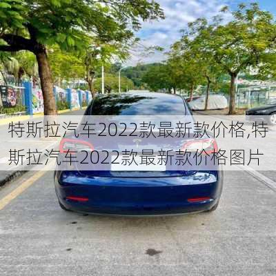 特斯拉汽车2022款最新款价格,特斯拉汽车2022款最新款价格图片