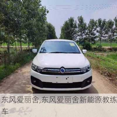 东风爱丽舍,东风爱丽舍新能源教练车