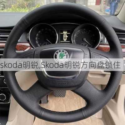 skoda明锐,Skoda明锐方向盘锁住