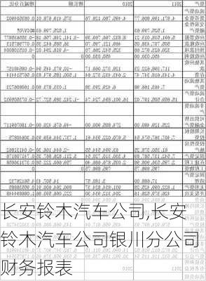 长安铃木汽车公司,长安铃木汽车公司银川分公司财务报表