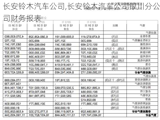 长安铃木汽车公司,长安铃木汽车公司银川分公司财务报表