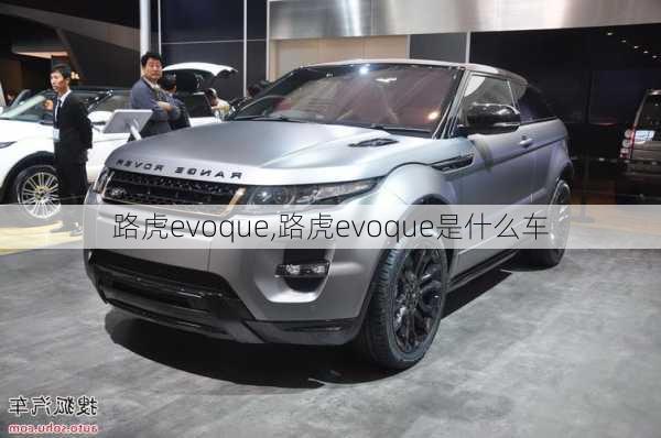 路虎evoque,路虎evoque是什么车