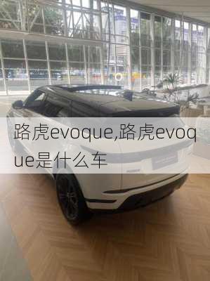 路虎evoque,路虎evoque是什么车