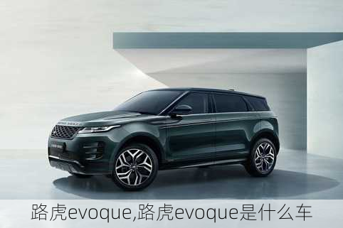 路虎evoque,路虎evoque是什么车