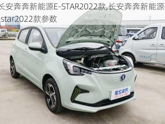 长安奔奔新能源E-STAR2022款,长安奔奔新能源e-star2022款参数