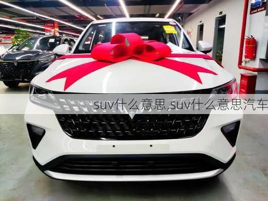 suv什么意思,suv什么意思汽车