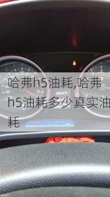 哈弗h5油耗,哈弗h5油耗多少真实油耗