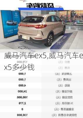 威马汽车ex5,威马汽车ex5多少钱