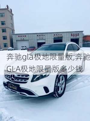 奔驰gla极地限量版,奔驰GLA极地限量版多少钱