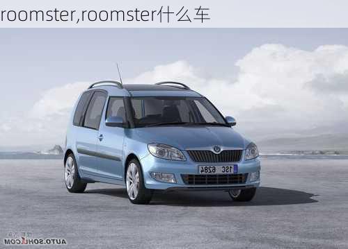 roomster,roomster什么车