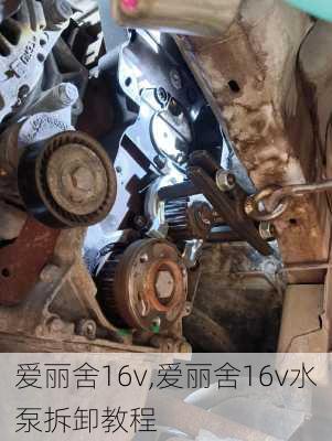 爱丽舍16v,爱丽舍16v水泵拆卸教程