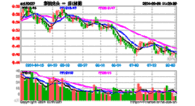 09年新能源汽车龙头股,09年新能源汽车龙头股票