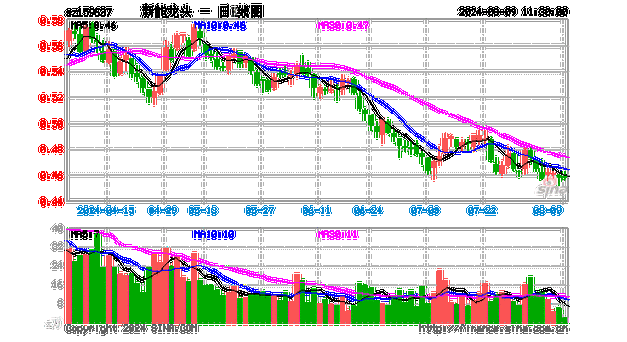 09年新能源汽车龙头股,09年新能源汽车龙头股票