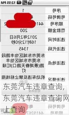 东莞汽车违章查询,东莞汽车违章查询网上查询