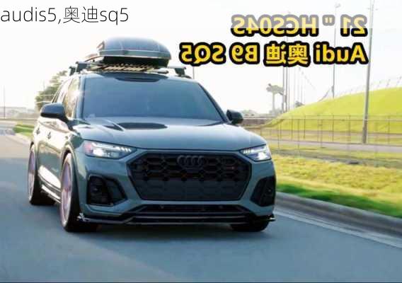 audis5,奥迪sq5