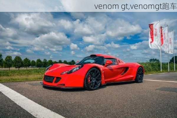 venom gt,venomgt跑车